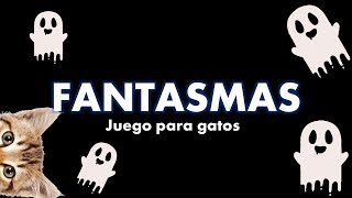 Videos para gatos  fantasmas [upl. by Clarence]