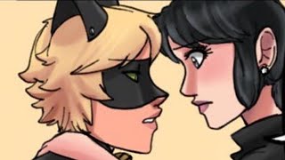 Unsee Marichat Scene FULL  Miraculous Ladybug Comic Dub [upl. by Bailar447]