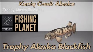 Fishing Planet Trophy Alaska Blackfish Kaniq Creek Alaska Guide [upl. by Azenav]