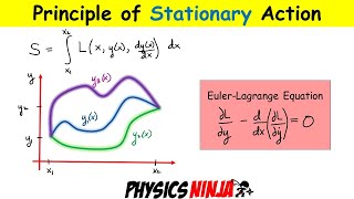 Introduction to the Principle of Stationary Action and the Derivation of the EulerLagrange Equation [upl. by Wolfgang]