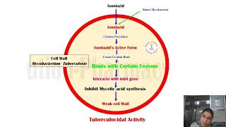 Drugs acting on anti tubercular agents PharmacologyIII UnitIII [upl. by Ahsieyk]