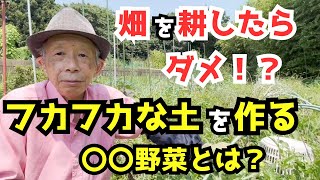 【無肥料栽培】畑を耕さないでフカフカな土を作る〇〇野菜の魅力とは？ [upl. by Aneeuqahs495]