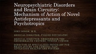 Neuropsychiatric Disorders and Brain Circuitry [upl. by Aisaim]