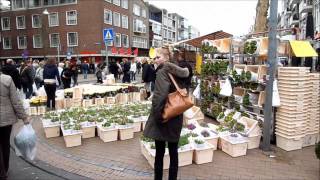 Annual Flower Market Groningen  Netherlands [upl. by Resay]