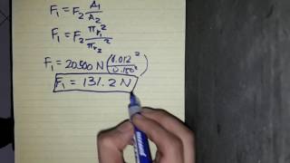 UST PROBLEM SET 1 Physics 205 Fluids1 Pascals Principle and Pressure [upl. by Wallas442]