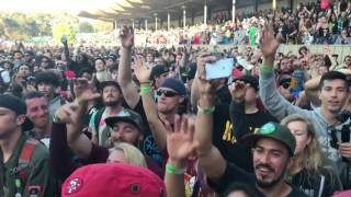 IRATION  Falling live Cali Roots 8 2017 [upl. by Anekahs]