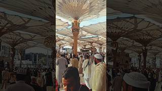 Ramdan Day15  Daily Islamic reels  Islamic Makkah Madina Umrah Ramdan [upl. by Lesley]