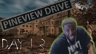 Pineview Drive Gameplay Walkthrough DAY 13 CROWS  HORROR GAME [upl. by Ayra]