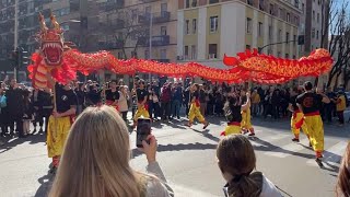 Capodanno CINESE Roma 2024 l’anno del DRAGO 🐉 [upl. by Neved242]