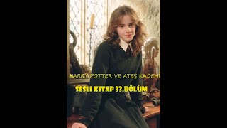 Harry Potter ve Ateş Kadehi  Bölüm 33  En İyi Sesli Kitap [upl. by Alyakcim152]