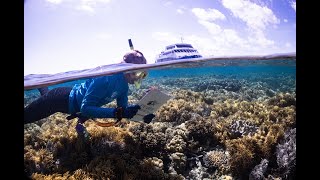 The Reef Protection Initiative 2023  Sunlover Reef Cruises X Eye On The Reef [upl. by Ahsael971]