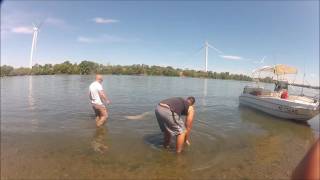 gros silures en camargue avec jean claude tanzilli [upl. by Htebsle423]