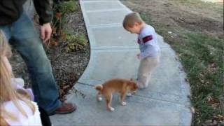 WE GET A NEW DOG GIDEONS FIRST VIDEO  SHIBA INU [upl. by Wind849]