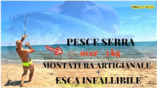 Pesce Serra  lesca Perfetta  le Canne e la Montatura Adatta  i Consigli di Pesca in Mare [upl. by Analli956]