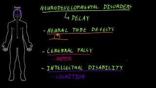 Neurodevelopmental disorders [upl. by Nnaeirb]