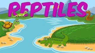 Reptiles  Learn About Animals For Kids [upl. by Zink]