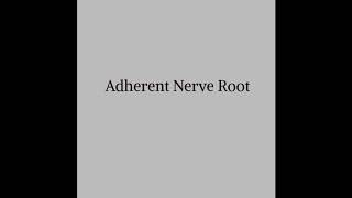 The Adherent Nerve Root [upl. by Florenza]