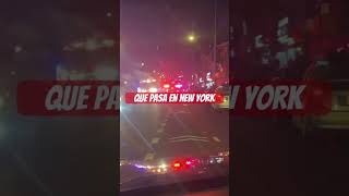 Que pasa en new York de noche [upl. by Fidellia]