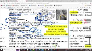 PEDIATRIC ORTHOPEDICS DDH  CLUBFOOT  BRACHIAL PALSY  ORTHOPEDICS  5TH Y [upl. by Ahsinra]