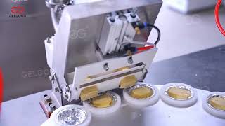 Egg Tart Production Line [upl. by Led557]