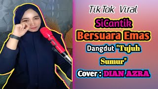 Dangdut Tujuh Sumur  Karaoke Dangdut Tujuh Sumur  Cover Dian Azra [upl. by Annohsak]