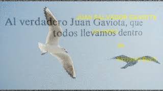 Juan Salvador Gaviota de Richard Bach audio libro  completo [upl. by Yrrol]