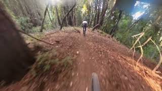 Daisy Duke Trail MTB  Magical Dirt  So fun [upl. by Akineg]