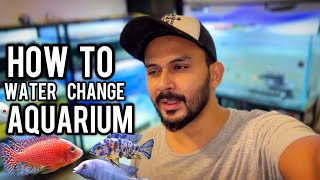 How to Clean amp Perform Water Changes in a Large Aquarium StepbyStep Guide  Imrans World [upl. by Dnartreb588]