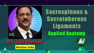 Sacrospinous Ligament amp Sacrotuberous Ligament Applied Anatomy [upl. by Tandy]