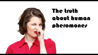 The truth about human pheromones [upl. by Cirdahc]