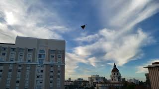 2024 Rose Bowl Parade B2 Stealth Bomber Flyover [upl. by Halla]