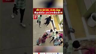 வெளிய வாடா டேய்  வீட்டின் ஓட்டை உடைத்து உள்ளே இறங்கிய மர்ம உருவங்கள் Salem  Diwali [upl. by Bowlds]