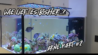 Update zu Arnes Meerwasseraquarium  System Details [upl. by Faso]