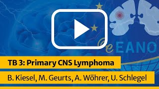 EANO Tumorboard on Primary CNS Lymphoma by Marjolein Geurts and Barbara Kiesel [upl. by Stein]