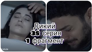 ДикийТурецкий сериал Yabani  38 серия Фрагмент [upl. by Laureen]