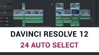 DaVinci Resolve 12  24 Auto Select Function [upl. by Llehcam247]