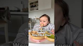 7 Months Weaning babyledweaning weaning blw babynutrition 7months babyfood weaningbaby [upl. by Aetnuahs]