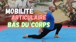 MOBILITE ARTICULAIRE BAS DU CORPS Nouvelle séance ECHAUFFEMENT pour commencer votre entraînement [upl. by Lejna]