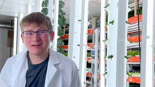 Why Our Vertical Farming is Revolutionizing Agriculture [upl. by Mabel]