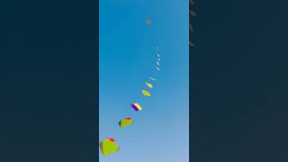 FLY 50 KITE AT ONCE 🤩 shorts pkcrazyexperiments [upl. by Ahsinaj878]