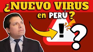 ¡ALERTA CIENTÍFICOS DESCUBREN NUEVO VIRUS EN PERÚ ¿RIESGO DE PANDEMIA [upl. by Firooc848]