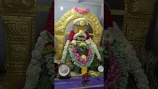 Pradosham Poojapradosham templepichai pathiram song [upl. by Gillett383]