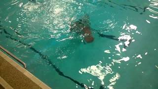 Bronze Medallion training [upl. by Josiah]