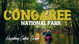 Congaree National Park Kayaking Cedar Creek 4K [upl. by Oslec]