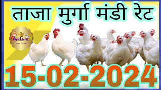 15 फरवरी 2024 आज का मुर्गा मंडी का ताजा भाव  Today broiler chicken rate today  Agro Farmz [upl. by Ellocin]