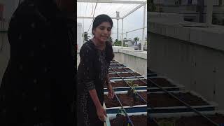 How to start smart terrace Garden  automatic farming system  Naturalist Alexander  9884035450 [upl. by Maryn616]