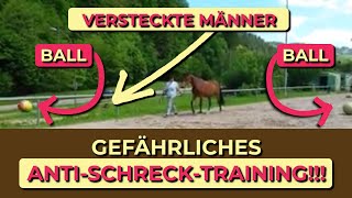 Wie AntiSchreckTraining die Beziehung zwischen dir und deinem Pferd zerstört [upl. by Arondel]