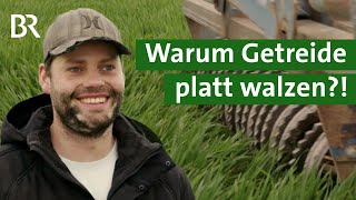 Walzen statt Spritzen Wie verrückt ist es sein Getreide platt zu walzen  Unser Land  BR [upl. by Sidra]