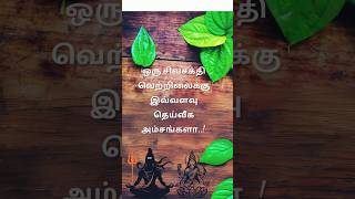 சிவசக்தி வெற்றிலை [upl. by Orabelle]