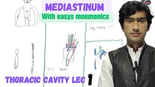 Mediastinum anatomy with mnemonics by Medexplora zawar yousafzai [upl. by Steffi]